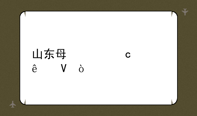 山东每年高考人数？