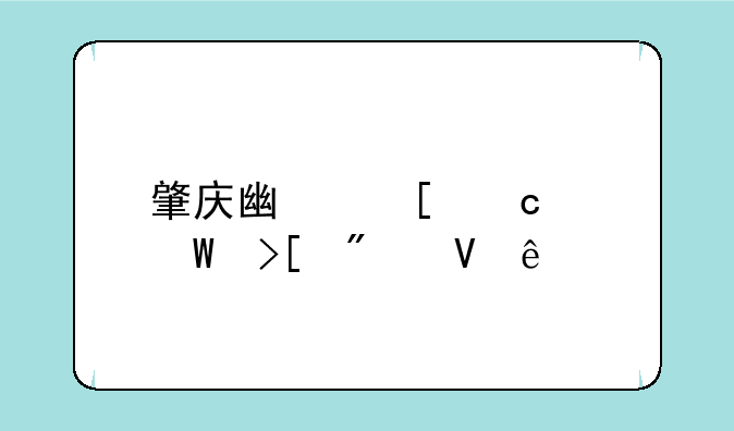 肇庆广外高中录取分数线