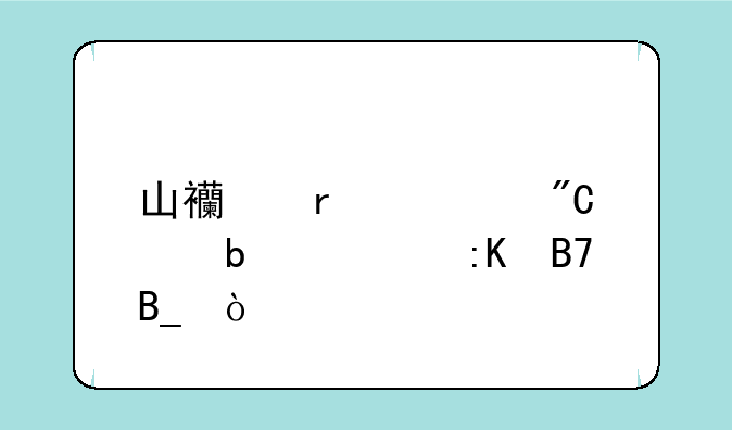 山西省考成绩显示排名吗？