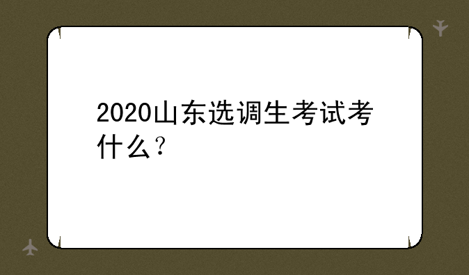 2020山东选调生考试考什么？